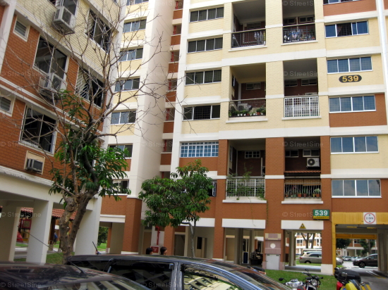Blk 539 Hougang Street 52 (S)530539 #239652